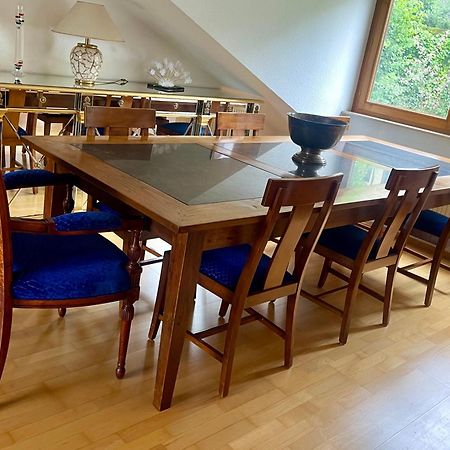 Wunderschoenes Grosses 3 Zimmer Apartament Zentrum Goldstadt Familienfreundlich Mit Garage 普福尔茨海姆 外观 照片