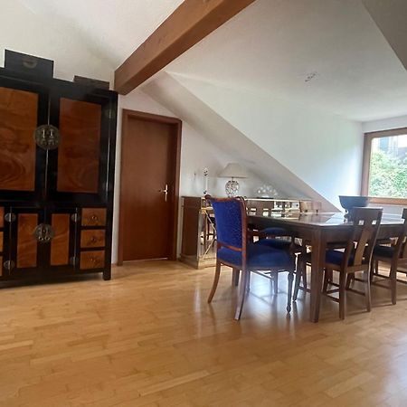 Wunderschoenes Grosses 3 Zimmer Apartament Zentrum Goldstadt Familienfreundlich Mit Garage 普福尔茨海姆 外观 照片