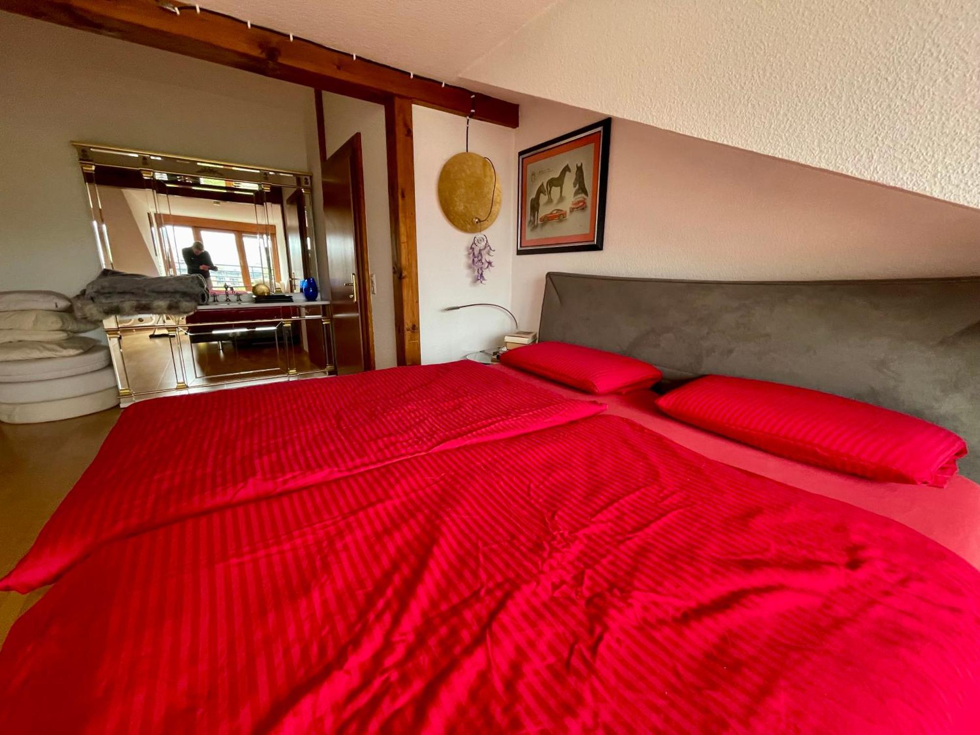 Wunderschoenes Grosses 3 Zimmer Apartament Zentrum Goldstadt Familienfreundlich Mit Garage 普福尔茨海姆 外观 照片